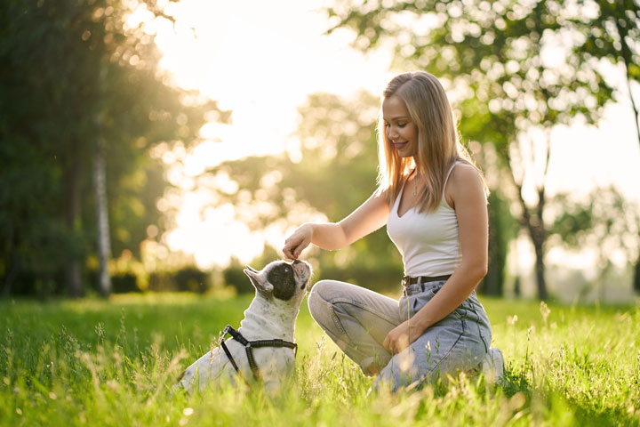 Como mantener a tu perro activo y saludable