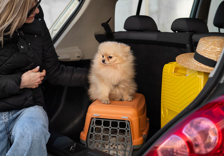 Viaja con mascota