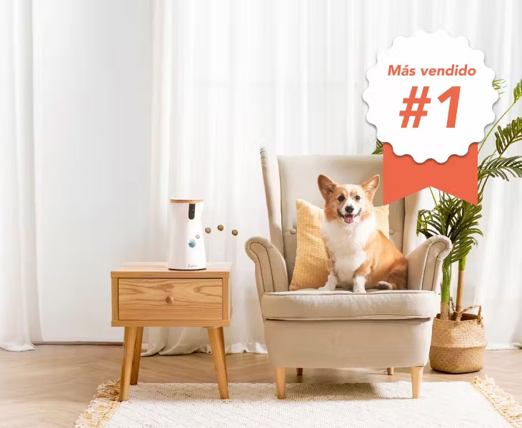 Furbo Cámara para Perros