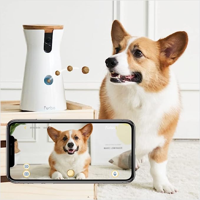 Furbo Camara para Perros