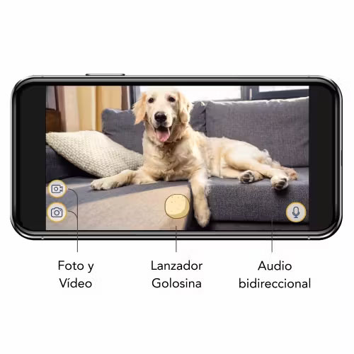 Furbo Camara para Perros