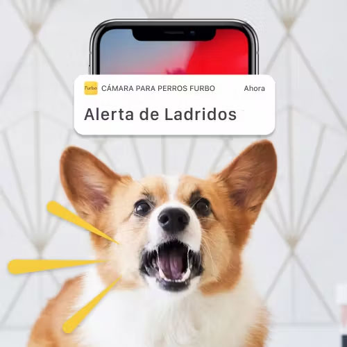 Furbo Camara para Perros
